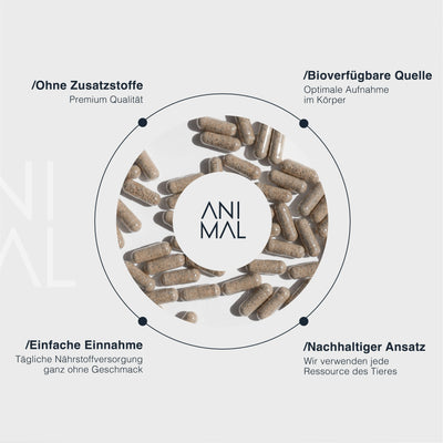 Rinderleber Kapseln - Grass Fed Beef Liver EVERSTACK®