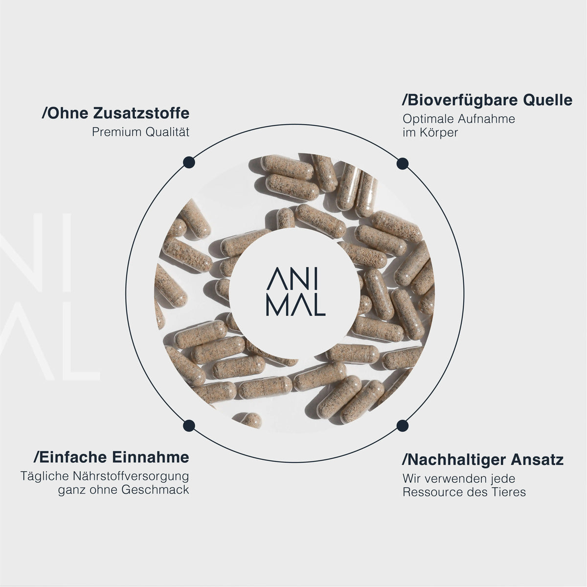 Rinderleber Kapseln - Grass Fed Beef Liver EVERSTACK®